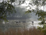DSC02836.JPG