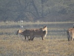 DSC02847.JPG