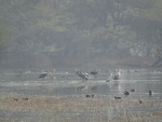 DSC02848.JPG