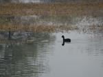 DSC02849.JPG
