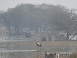 DSC02860.JPG